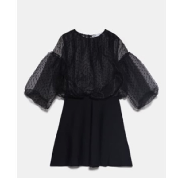 NEW! Zara Dotted Mesh Sleeve Dress - Picture 2 of 9